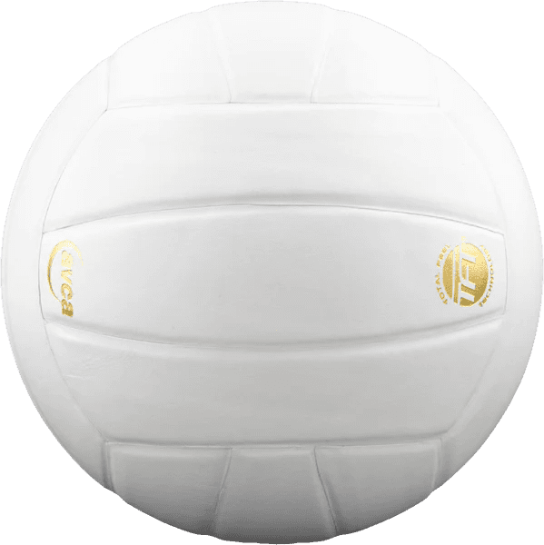 Leather Volleyball | Perfection Series -Baden Sports-Multiple Color Options - Pitch Machine Pros
